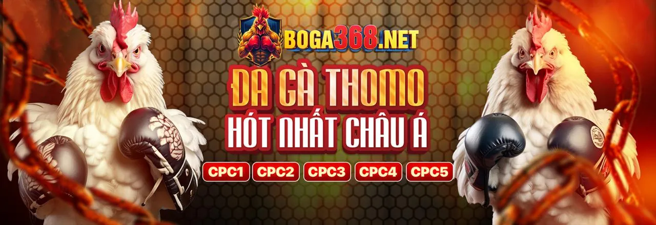 Mẹo chơi Dafabet App hiệu quả