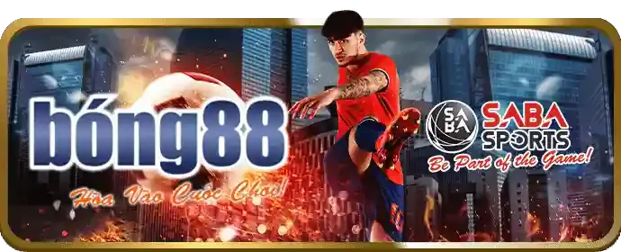 Cập nhật Dafabet App để có trải nghiệm tốt nhất