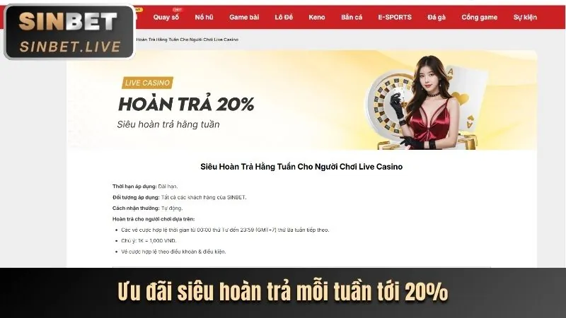 Các tùy chọn đặt cược Tài Xỉu trên Dafabet App